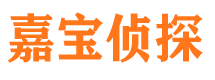 武定寻人公司